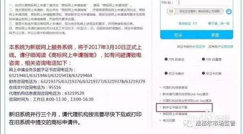 准旗市场监督管理局商标注册指南 市场主体的登记注册与代理服务要点
